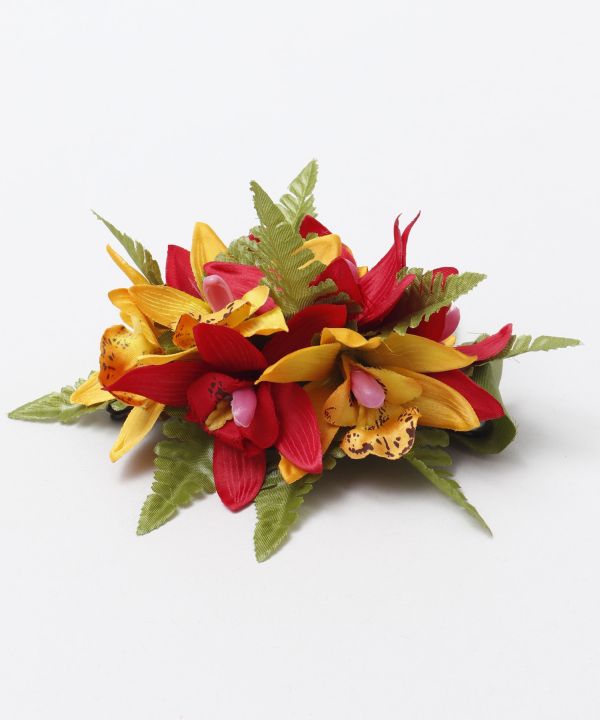 ミニシンビファーンCLP