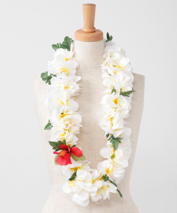 DXプルメリアレイ